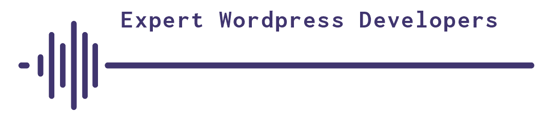 Expert Wordpress Developers